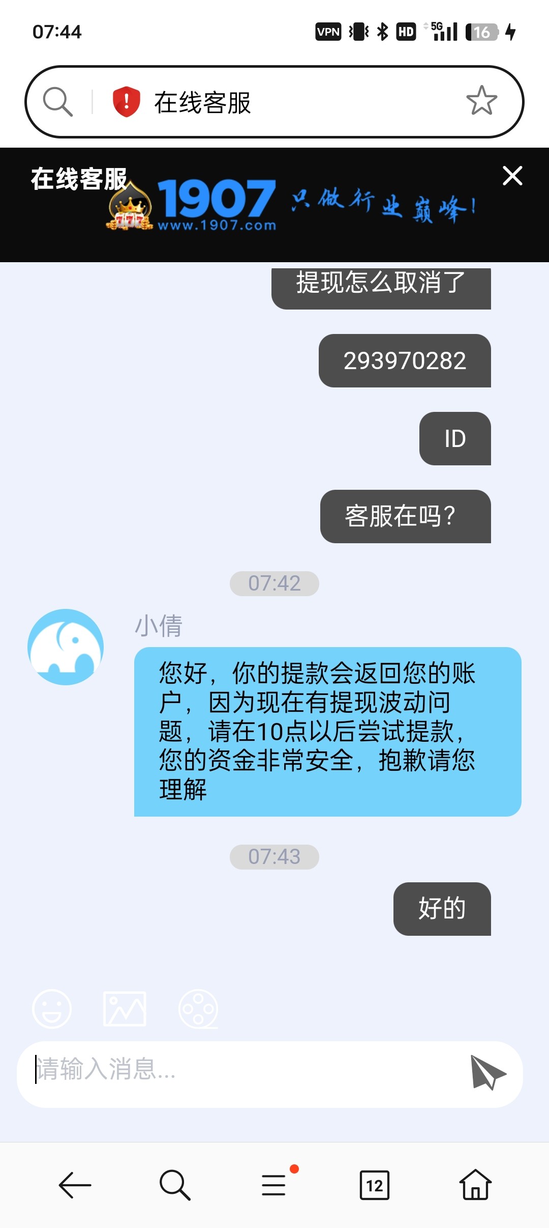 3531_Q3DYTXHV9YSMTDJ.jpg